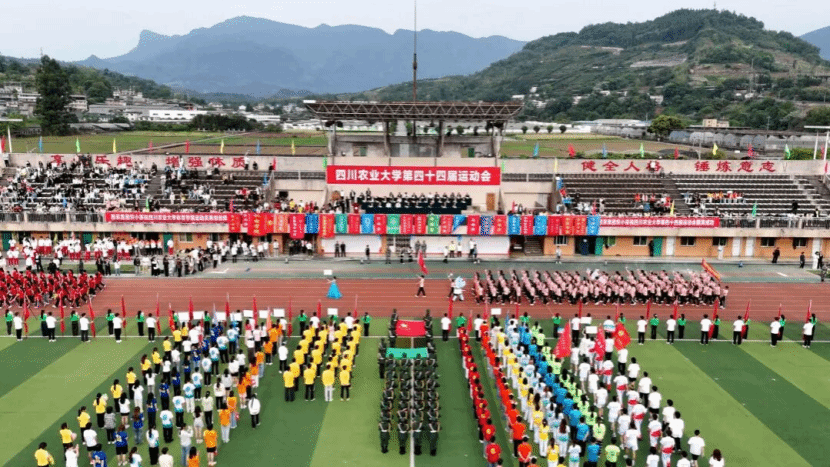 zoty中欧体育安全通道