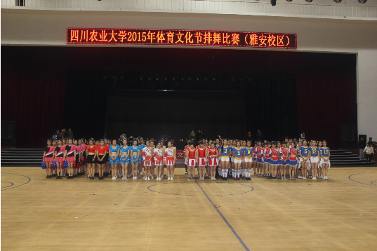 zoty中欧体育备用网址图片
