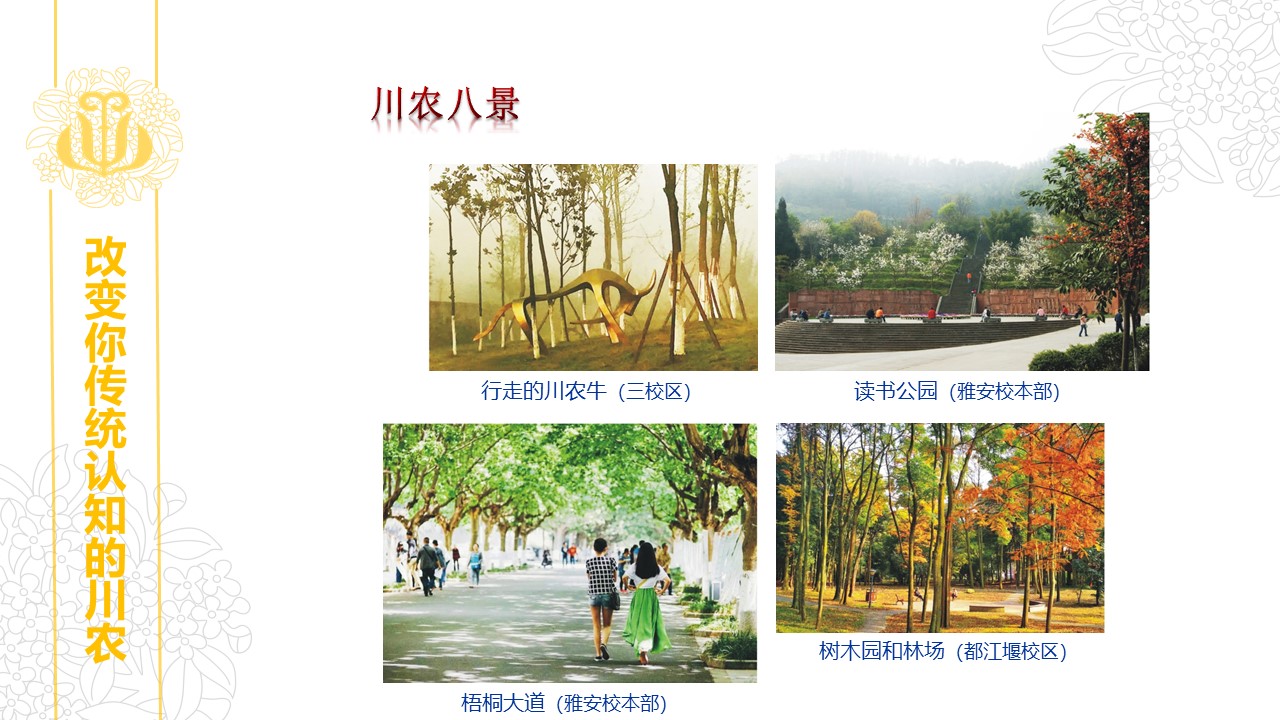 zoty中欧体育安全通道