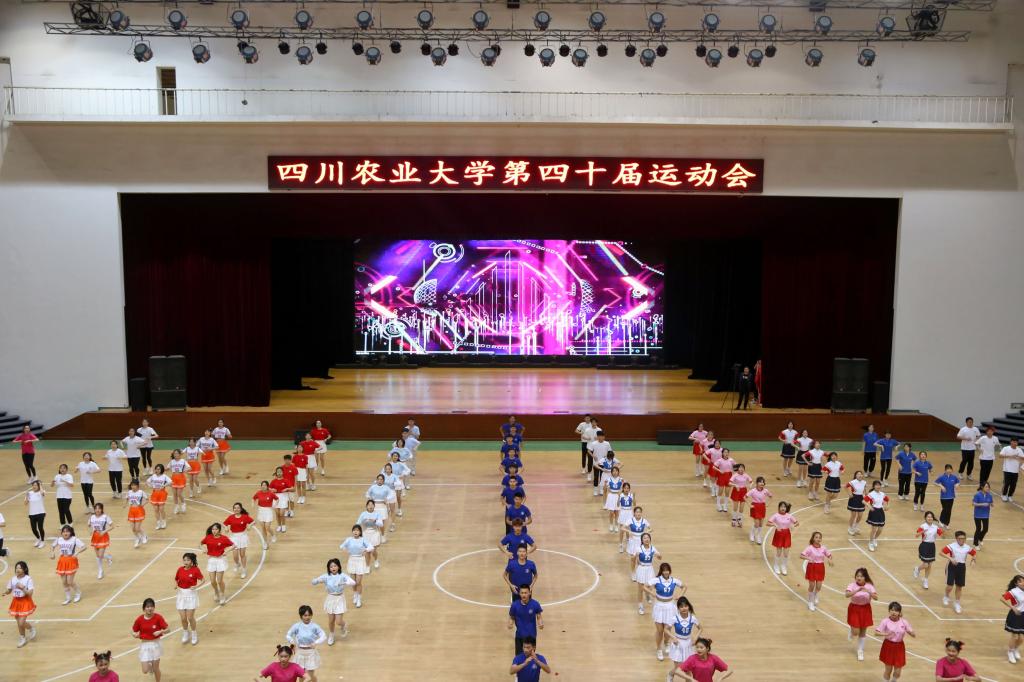 zoty中欧体育直播