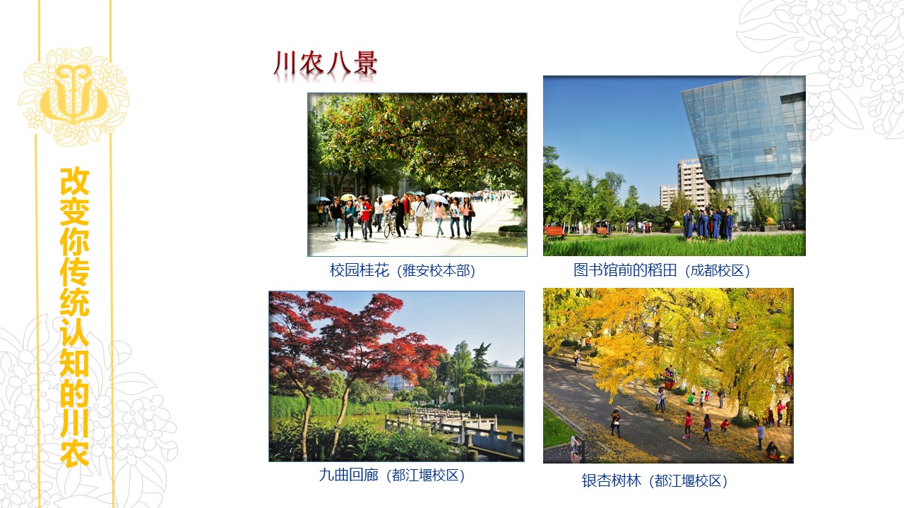 zoty中欧体育超级联赛
