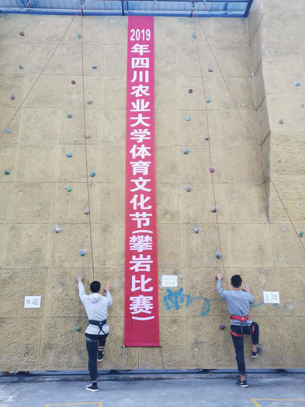 zoty中欧体育客户端