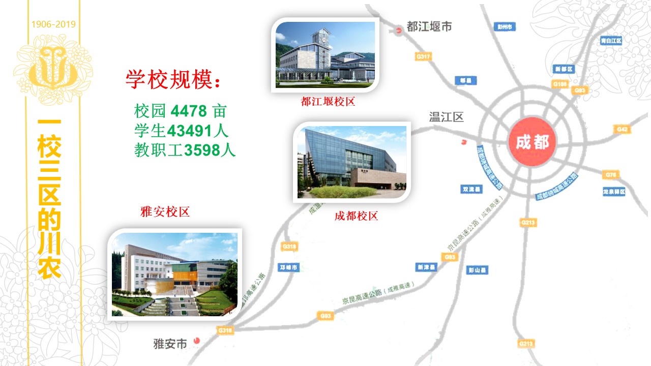 zoty中欧体育平台