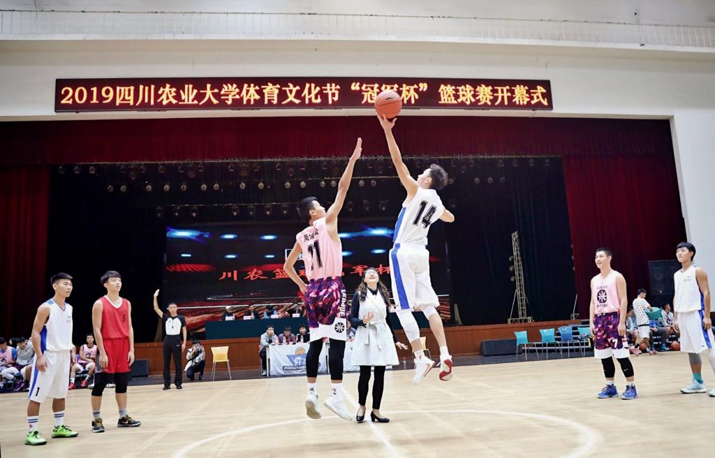 zoty中欧体育指定入口