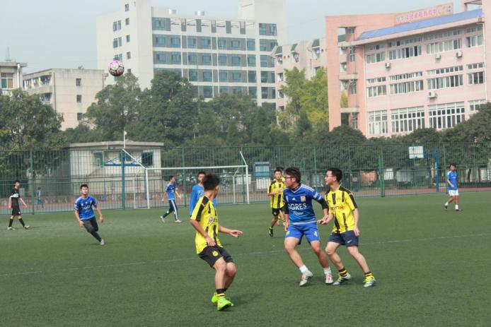 zoty中欧体育欧冠直播图片