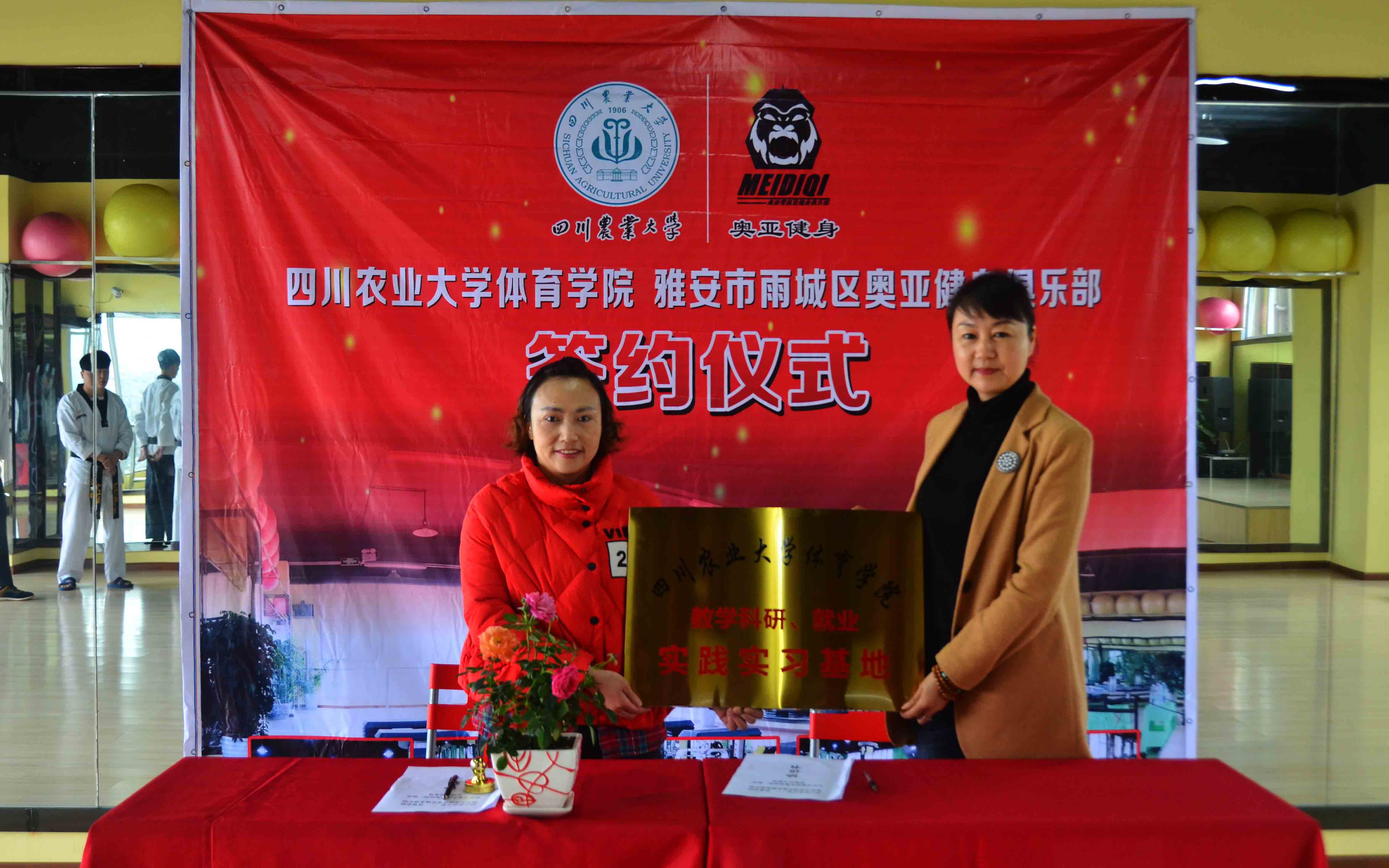 zoty中欧体育加速节点图片