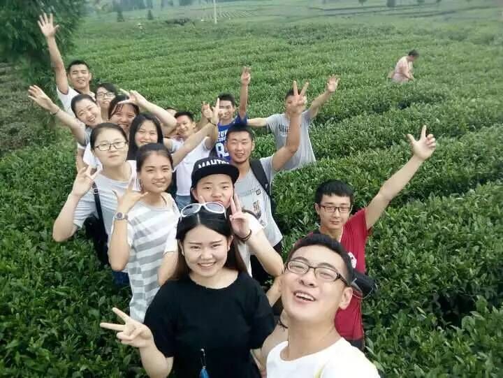 zoty中欧体育备用网址图片