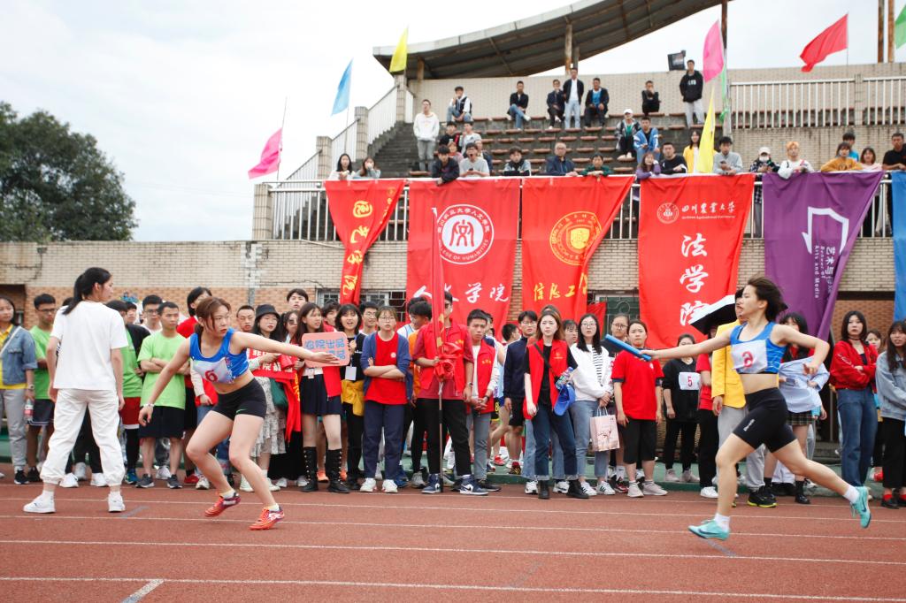 zoty中欧体育指定通道