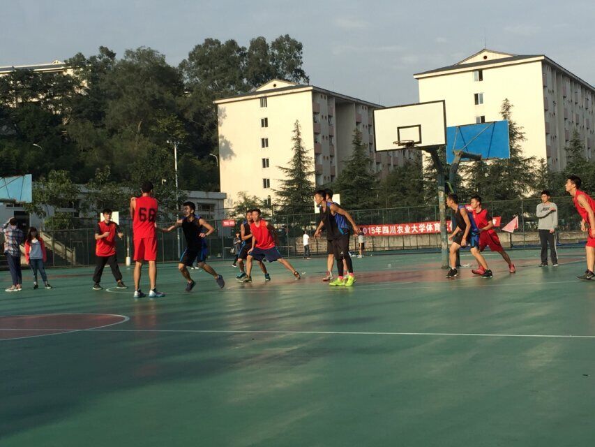 zoty中欧体育客户端图片