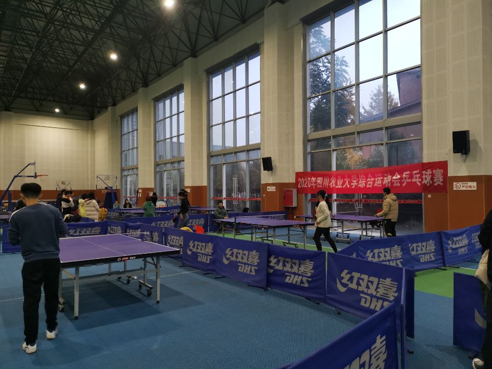 zoty中欧体育备用网址