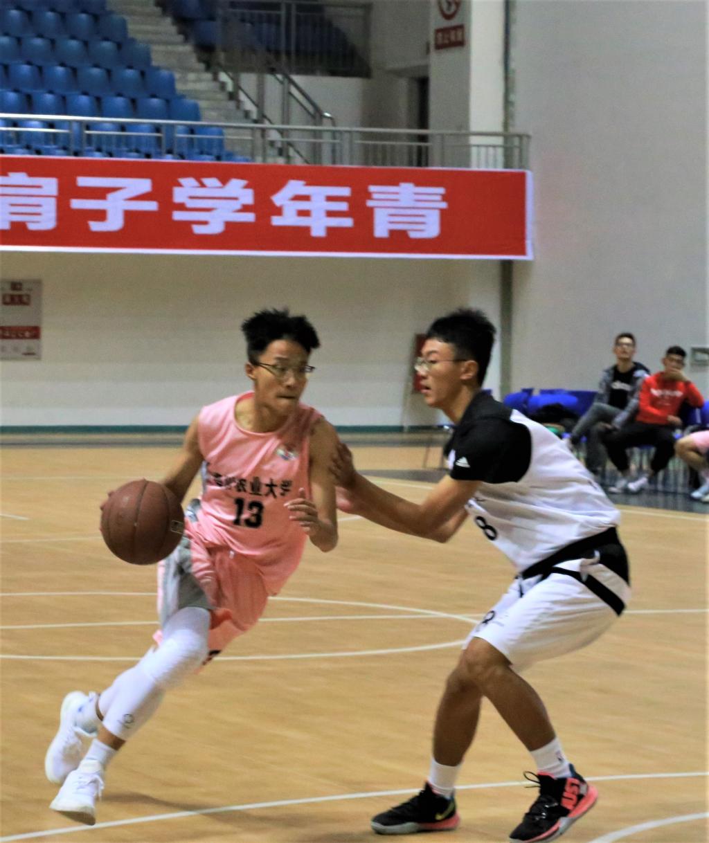 zoty中欧体育客户端