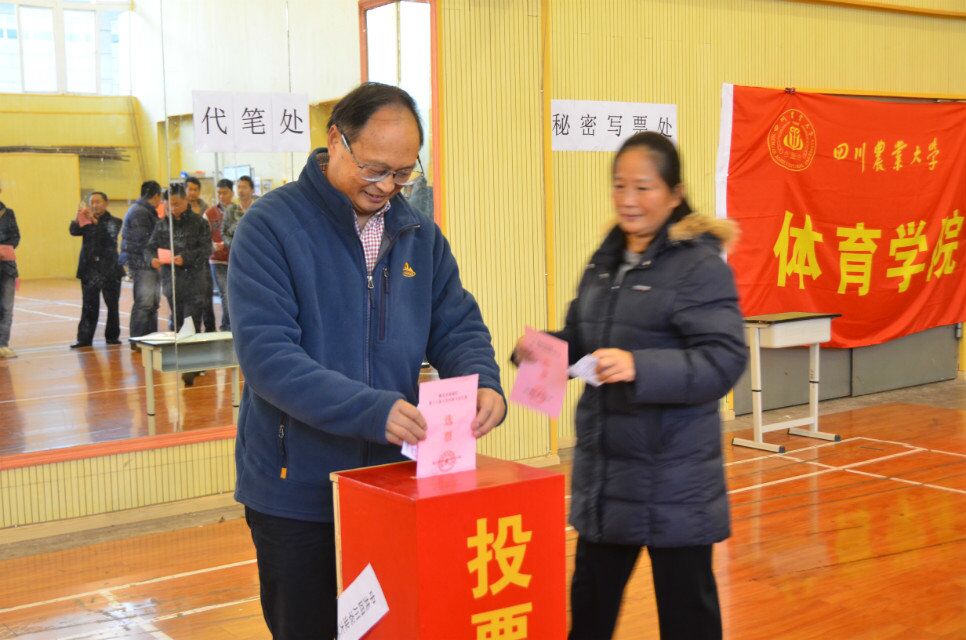 zoty中欧体育欧洲杯图片