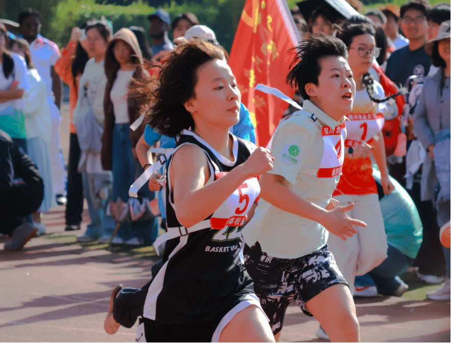 zoty中欧体育赛事资讯平台
