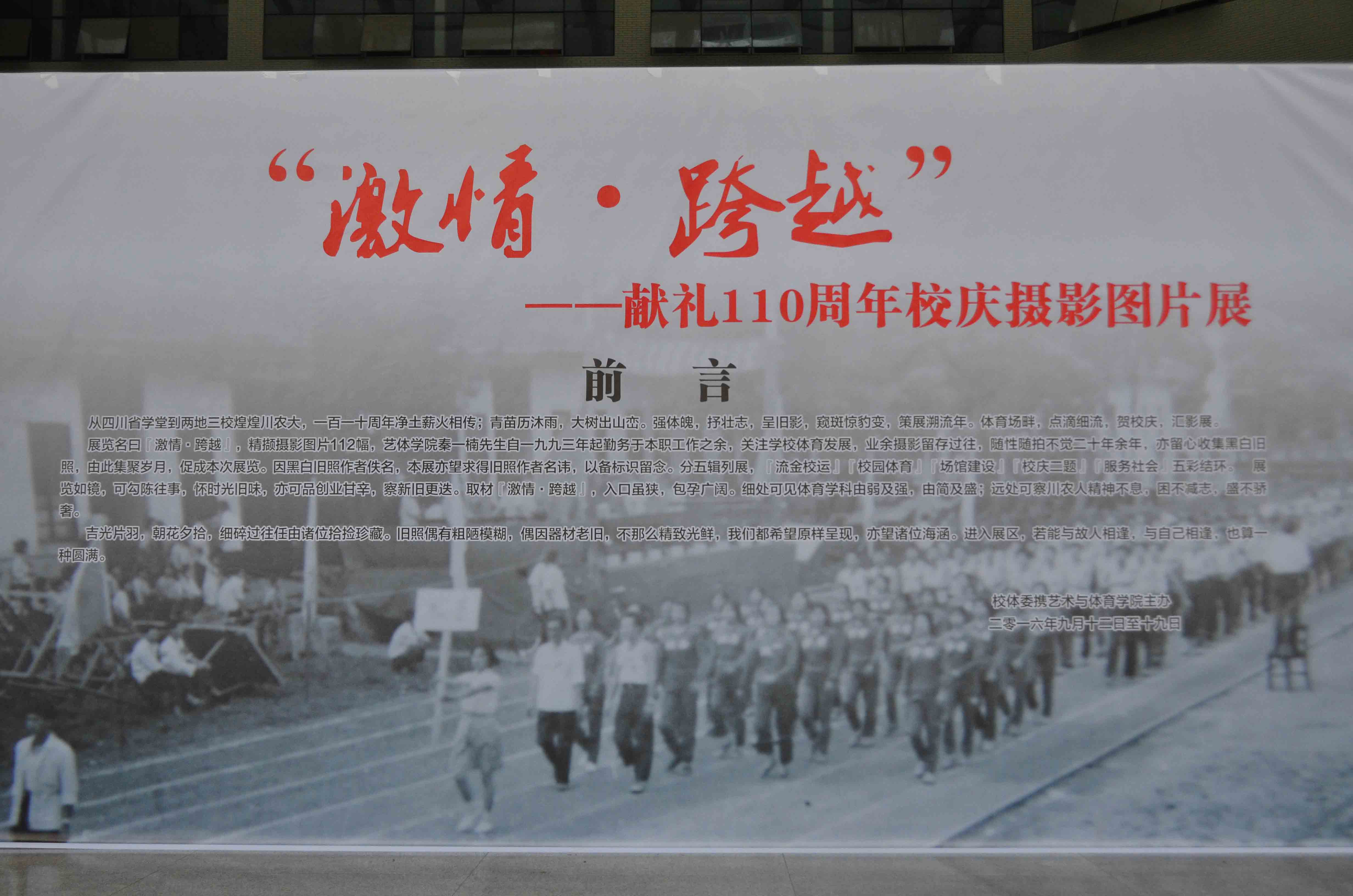zoty中欧体育欧洲杯图片