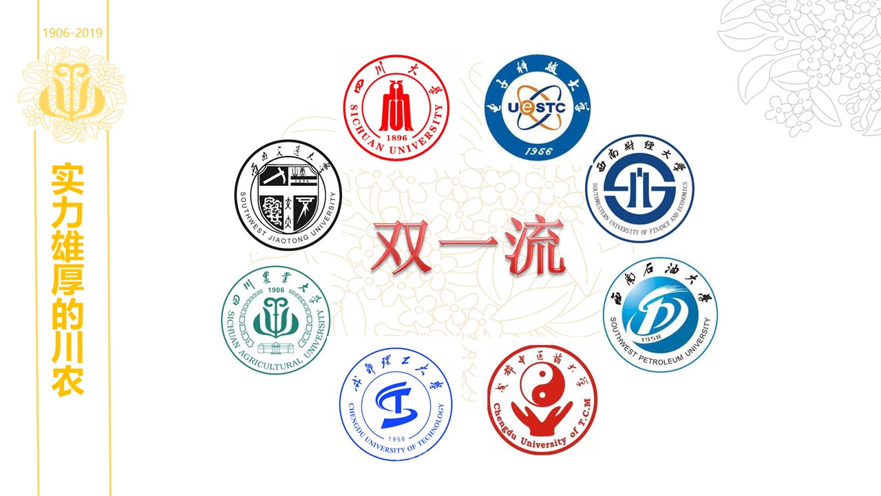 zoty中欧体育直播