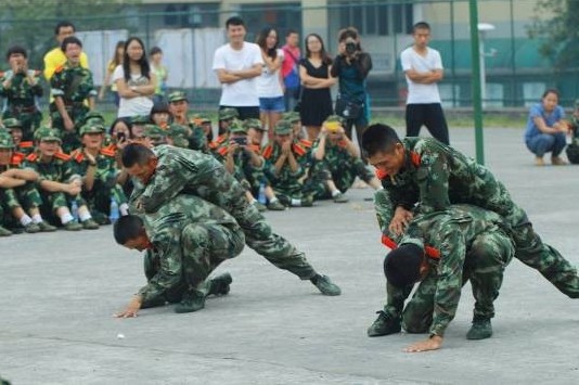zoty中欧体育体育频道图片