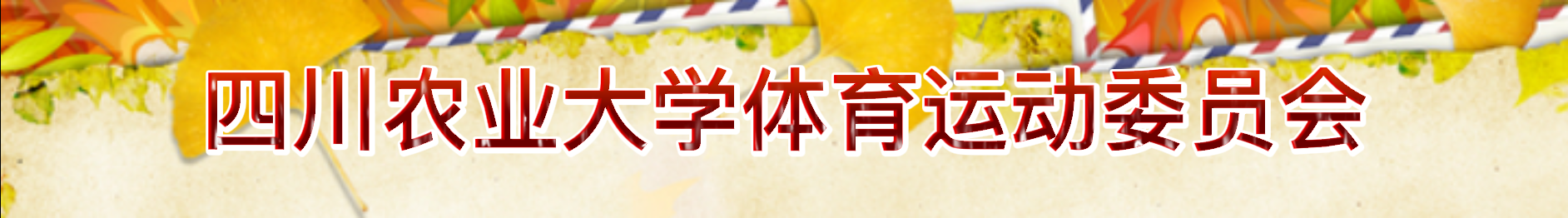 zoty中欧体育超级联赛图片