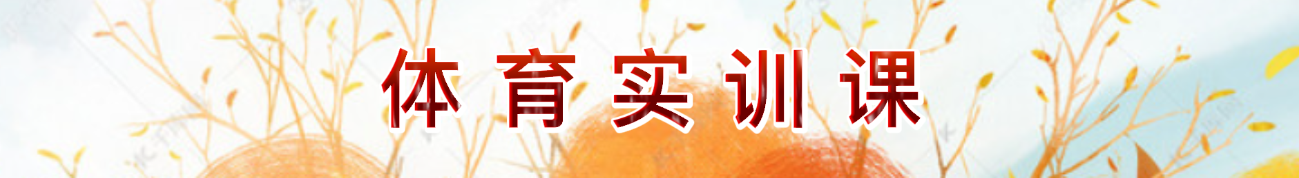 zoty中欧体育指定入口图片